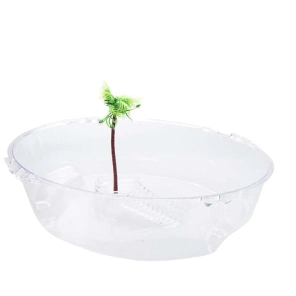 Kaplumbağa Bahçesi - Resim 5