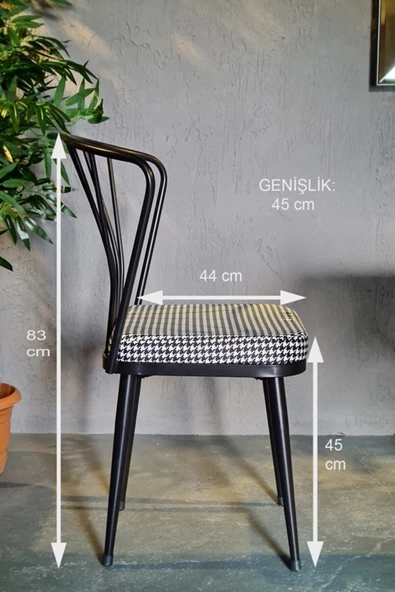 DEKOR MOBİLYACIM Mutfak- Cafe -bahçe Sandalyesi 2 Li Set - Resim 2