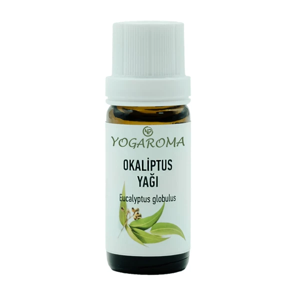 NPO Yogaroma Ferahlatıcı Aromaterapi 10mL Saf ve Doğal Okaliptus Uçucu Yağ ürün görseli 1