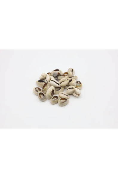 AKRİLİK ŞEKİLLİ BONCUK 8-12 MM ürün görseli 1