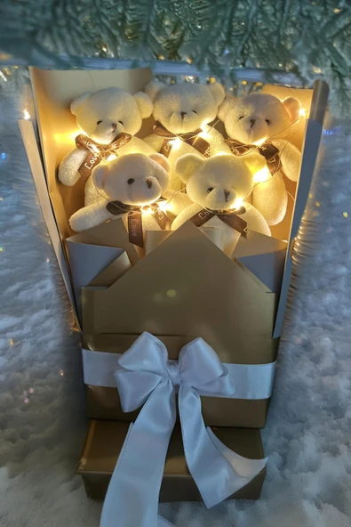 Sole Sevgiliye Özel Peri LED Işıklı Dore-Gümüş Konsept Romantik Peluş Ayıcık Buketi ürün görseli 1