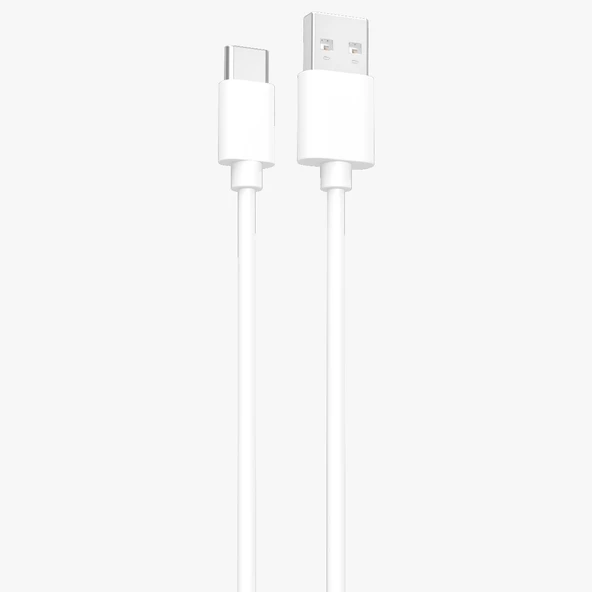 Wizz Type-C Hızlı Şarj Kablosu Ve Veri Aktarımı 2.1A Beyaz 100cm WK202B ürün görseli 1