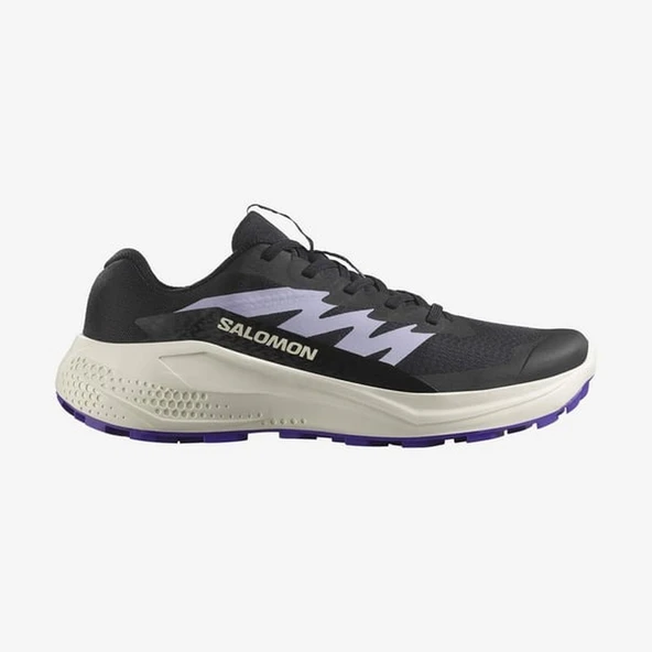 Salomon ALPHAGLIDE W Kadın Ayakkabısı L47801800 ürün görseli 1