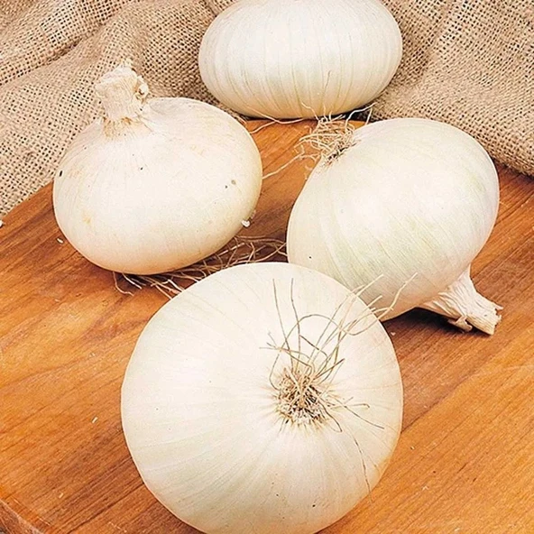 Doğal Geleneksel Beyaz Soğan Tohumu(50 Tohum) ürün görseli 1