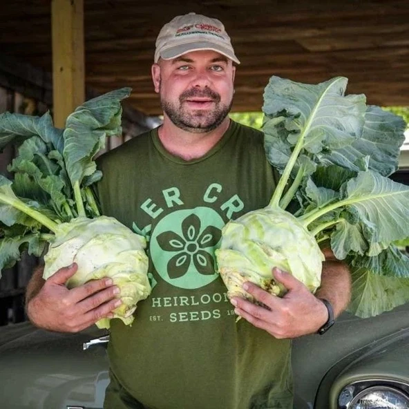 Doğal Geleneksel Giantl Kohlrabi (Alabaş) Tohumu (15 Tohum) ürün görseli 1