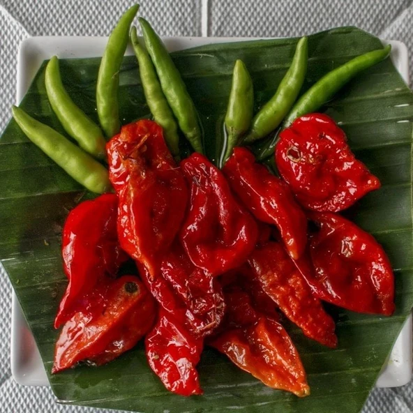 Doğal Dünyanın En Acı Biber Tohumu(Bhut Jolokia) 4 Tohum ürün görseli 1