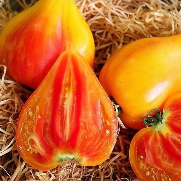 Striped Oxheart Fire Etli Beef Kalp Şeklinde Domates Tohumu (10 tohum) ürün görseli 1