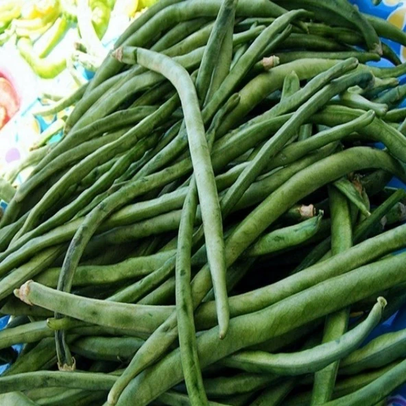 Sırık Karnıkara Börülce Tohumu (1 kg) ürün görseli 1