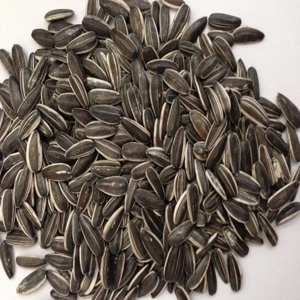 Doğal Siyah Çerezlik Çitlemelik Ayçiçeği Çekirdek Tohumu (2,5 KG) ürün görseli 1