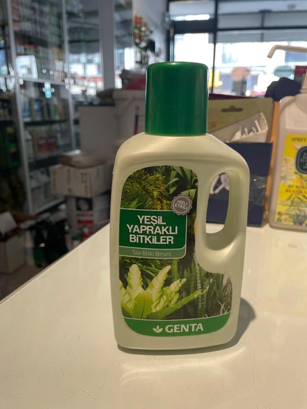 GENTA YEŞİL YAPRAKLI BİTKİLER ürün görseli 1