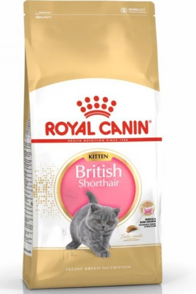 Royal Canin Kitten British Shorthair Yavru Kedi Maması 2 Kg ürün görseli 1