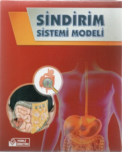 Bozkırlı Sindirim Sistemi Modeli Kutulu - 2 adet ürün görseli 1