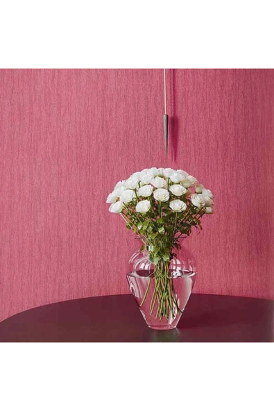 Ankawall PİCASSO 2 BOYANABİLİR DUVAR KAĞIDI 7005 (26.5m2) ürün görseli 1