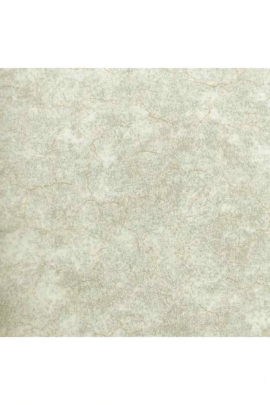 Ankawall VİSİON DUVAR KAĞIDI 2403-6 (16.5m2) ürün görseli 1