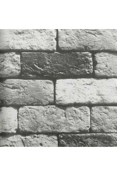 Ankawall VİSİON DUVAR KAĞIDI 2411-4 (16.5m2) ürün görseli 1