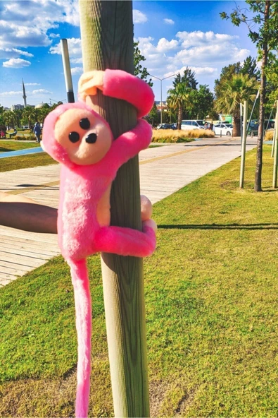 PAGİNA Sevimli Sarılan Sesli Maymun Pembe ürün görseli 1