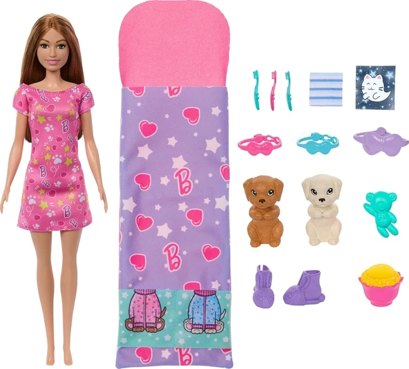 Barbie ve Köpekçikleri Pijama Partisi HXN01 ürün görseli 1