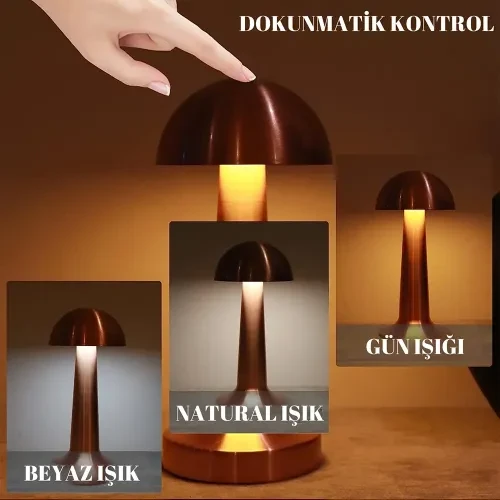 Dekoratif Led Masa Lambası - Resim 6