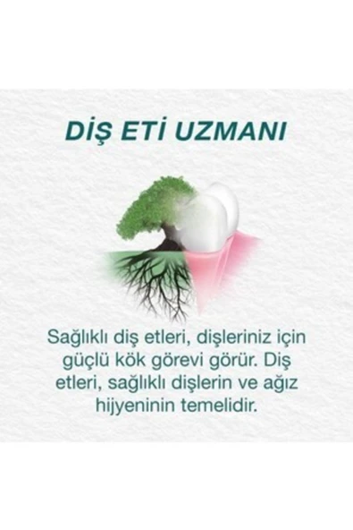 Orecare Bitkisel Diş Macunu Organik - Resim 2