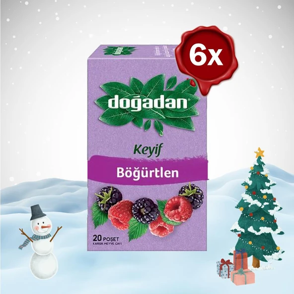 Doğadan Yılbaşı Paketi Böğürtlenli Karışık Meyve Çayı x 6 ürün görseli 1
