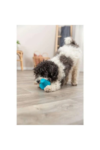 Trixie Naturel Kauçuk Köpek Oyuncağı, Ödül Hazneli 12 cm ürün görseli 1