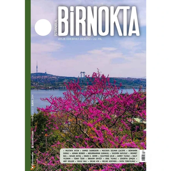 İstanbul BirNokta 244.Sayı Mayıs 2022 ürün görseli 1