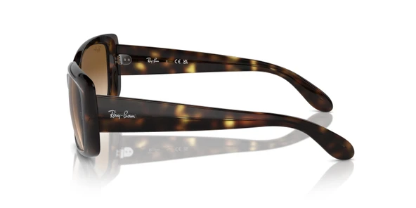 RAY-BAN 0RB4389 710-51 58 - Resim 2