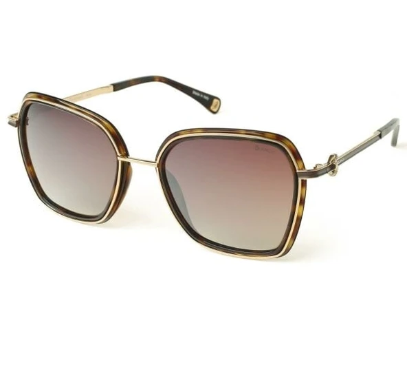 BLANCIA BC 1002 C2 53 ürün görseli 1
