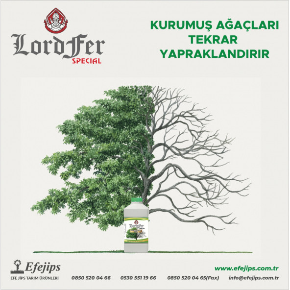 LORDFER SPECIAL 5 LİTRE ürün görseli 1