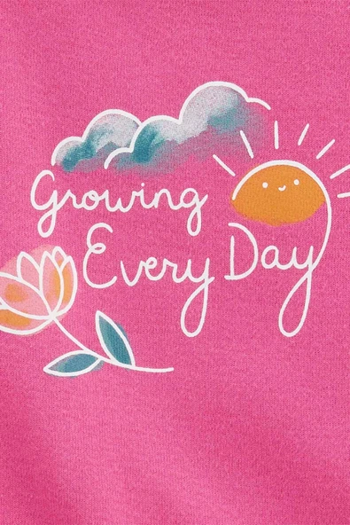 Carters Layette Pembe Kız Bebek Alt Üst Set 1P323910P - Resim 2