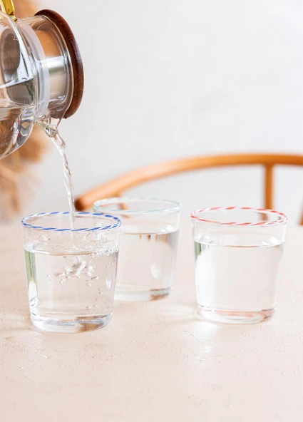 The Mia Simple Su Bardağı 6 Parça 300 ml - Resim 3