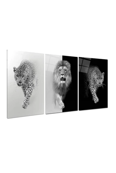 Leopar Ve Aslan Triple Miyrem-Cam Tablo - Resim 2