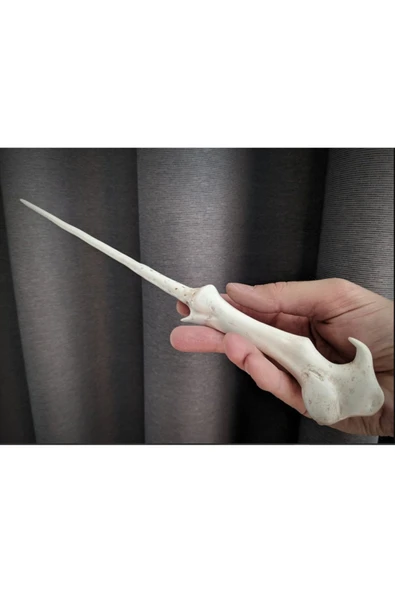 CANEREGE Harry potter woldemort asası ürün görseli 1