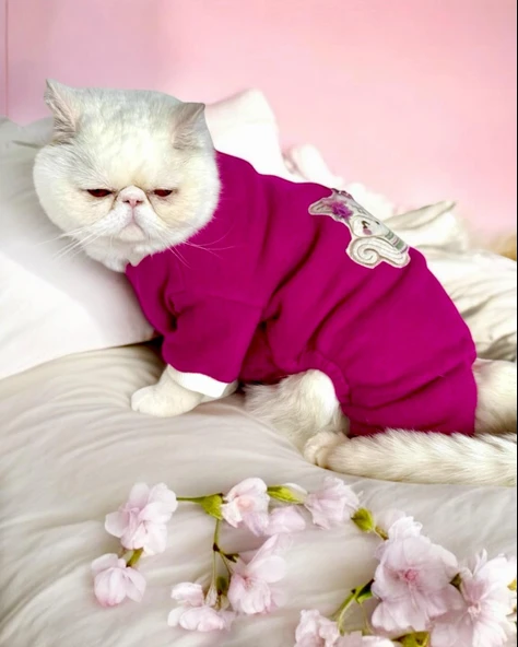 Foxie Polar Kedi Tulum Pijama - Resim 4