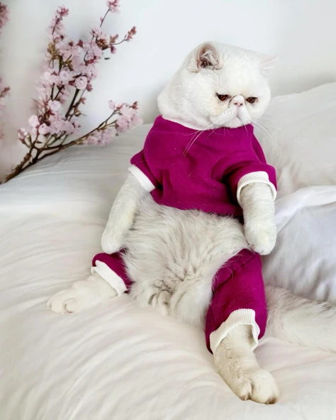 Foxie Polar Kedi Tulum Pijama ürün görseli 1