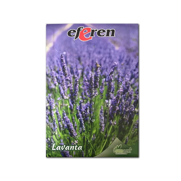 Lavanta Tohumu - Çok Yıllık Aromatik Parfüm ve Kozmetik Endüstrisi İçin İdeal ürün görseli 1