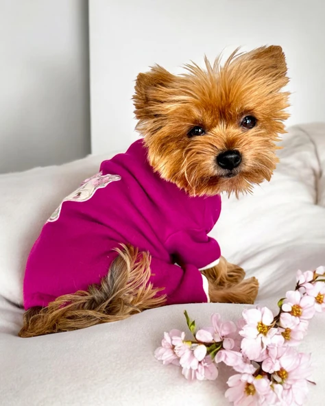 Foxie Polar Köpek Tulum Pijama ürün görseli 1