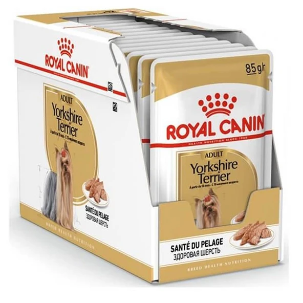 Royal Canin Adult Yorkshire Terrier Köpek Maması 85 Gr X 12 ürün görseli 1