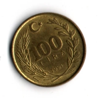 T.C. 100 Lira 1991 (mp1916) - Resim 2