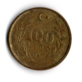 T.C. 100 Lira 1991 (mp1920) - Resim 2
