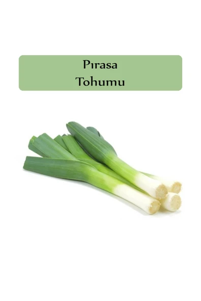 Pırasa Tohumu 1 Paket Inegöl Pırasa Tohumu Kapalı Paket Yüksek Verimli Tohum Prasa ürün görseli 1