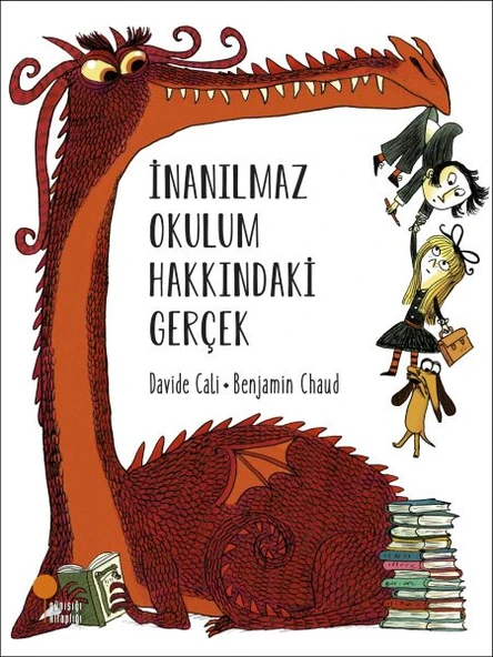 İnanılmaz Okulum Hakkındaki Gerçek DAVİDE CALİ ürün görseli 1
