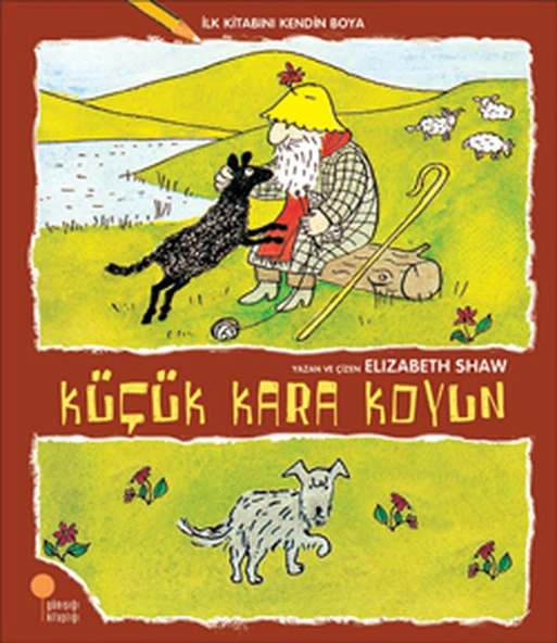 İlk Kitabını Kendin Boya Küçük Kara Koyun ELİZABETH SHAW ürün görseli 1