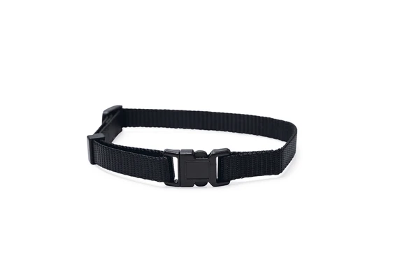 Beeztees Yavru Köpek Boyun Tasması, Çeşitli Renklerde, 22-35cm, 10mm ürün görseli 1