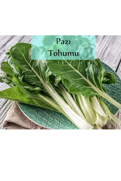 Pazı Tohumu 1 Paket Kapalı Paket Yüksek Verimli Tohum ürün görseli 1