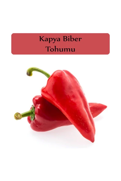 Kapya Biber Tohumu 1 Paket Yağlık Kapya Biber Tohumu Kapalı Paket Yüksek Verimli Tohum ürün görseli 1