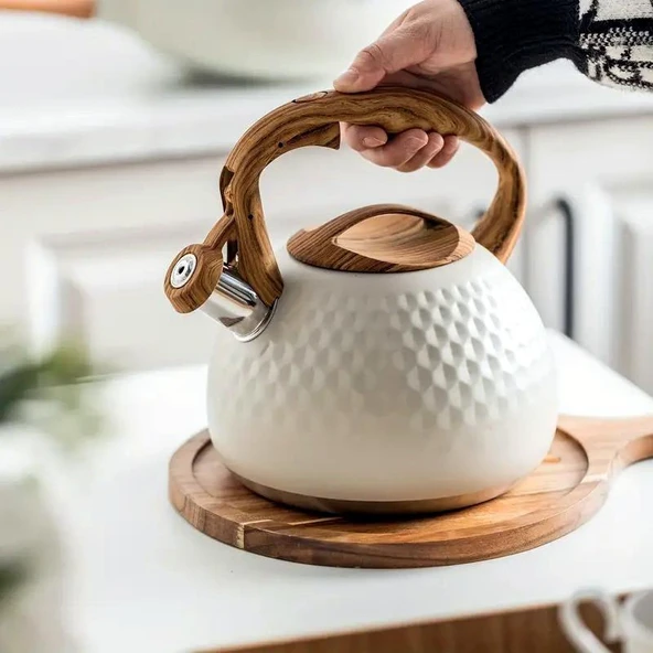 Valkyrie Modern Tasarım Düdüklü Kettle 3L Paslanmaz Çelik Ergonomik Su Isıtıcı Çaydanlık Islıklı ürün görseli 1