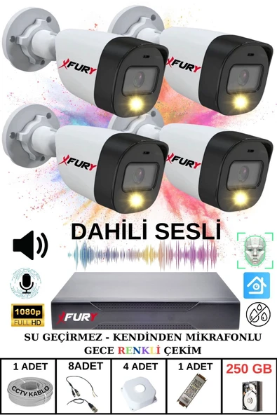 FURY 4 LÜ Sesli Gece Renkli Görüş Güvenlik Kamerası Su Geçirmez Güvenlik Kamerası Seti 250GB ürün görseli 1