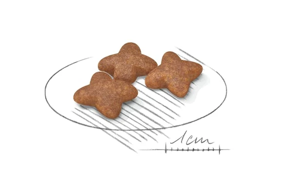 Mini Adult Küçük Irk Yetişkin Köpek Maması 4 Kg ürün görseli 1