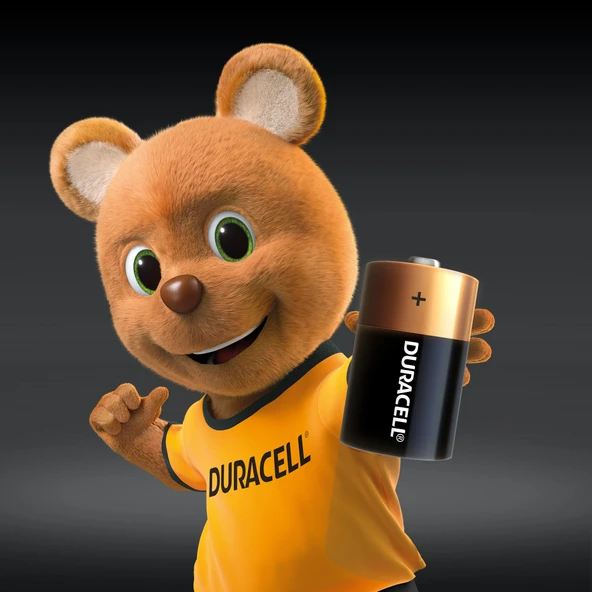 Duracell Alkalin D Piller 2'li Paket - Resim 2